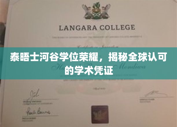 泰晤士河谷学位光芒，全球通行的高端学术通行证