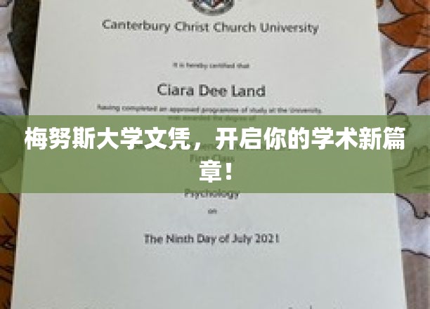 梅努斯荣耀，成就非凡学术启航之旅