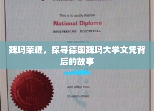 魏玛荣耀，探寻德国魏玛大学文凭背后的故事