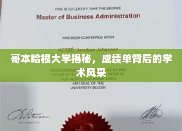 哥本哈根大学揭秘，成绩单背后的学术风采