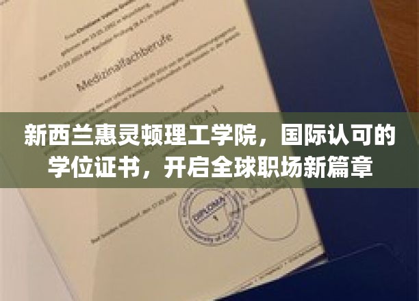 惠灵顿理工学院国际学位，助你横扫全球职场舞台