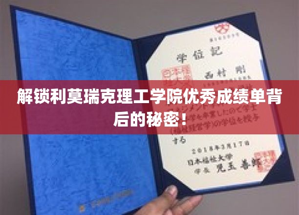 揭开利莫瑞克理工学院学子卓越表现的神秘面纱