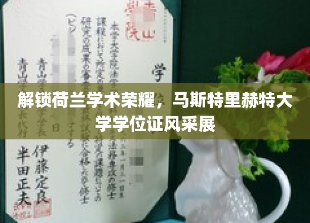 探寻荷兰学术明珠，马斯特里赫特大学学位证书闪耀登场