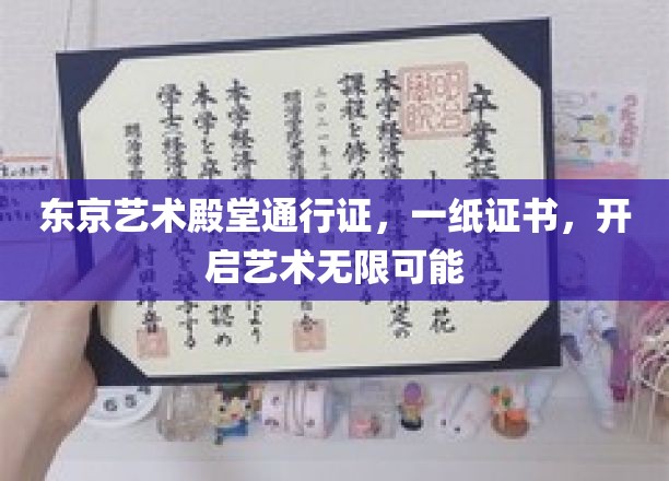 东京艺术殿堂通行证，一纸证书，开启艺术无限可能
