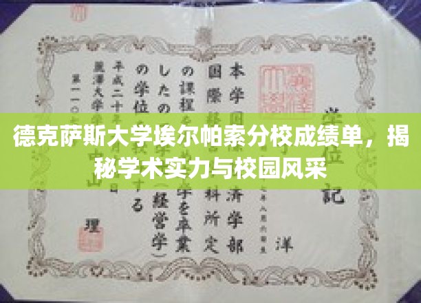 德克萨斯大学分校风采展示，一纸成绩单揭示学术与校园魅力