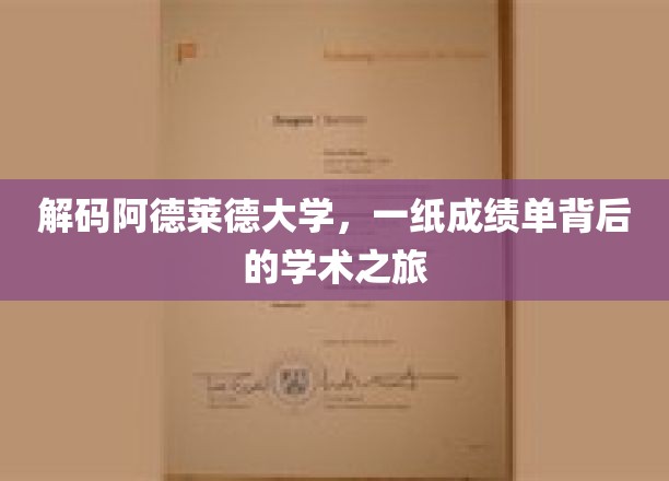 探寻阿德莱德大学，成绩单里的学术奥秘之旅