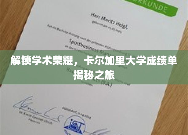 解锁学术荣耀，卡尔加里大学成绩单揭秘之旅
