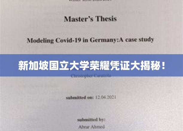 新加坡国立大学学位证书背后的独特奥秘