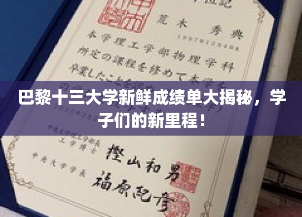 巴黎十三大学学子新篇章，揭秘未来精英的成长足迹