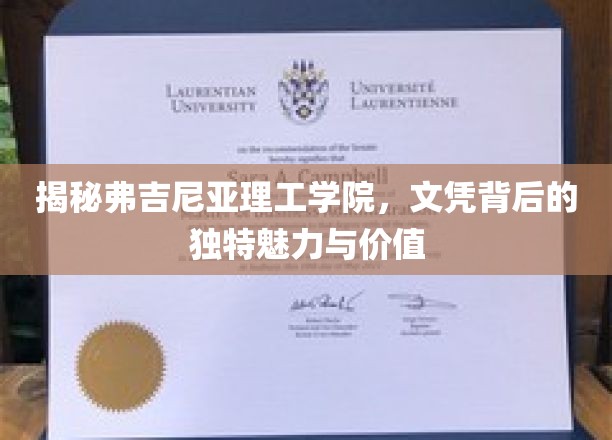 揭秘弗吉尼亚理工学院，文凭背后的独特魅力与价值