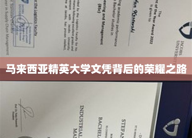 揭开马来西亚精英大学文凭的璀璨成就之路