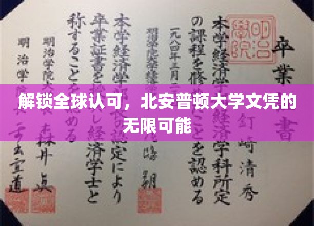 北安普顿大学文凭，开启国际职场无限大门