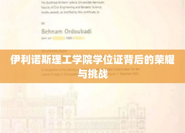 伊利诺斯理工学院学位证背后的荣耀与挑战