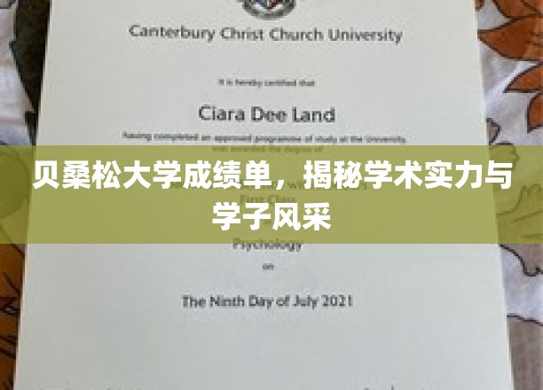 贝桑松大学成绩单，揭示学术实力与学子风采