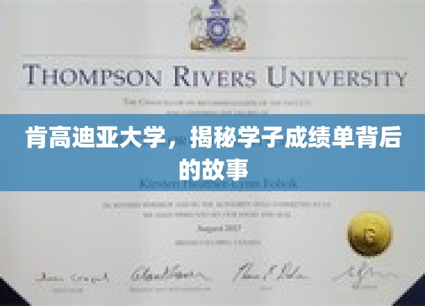 探寻肯高迪亚大学学子成绩单背后的励志篇章
