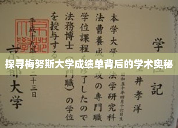 探寻梅努斯大学成绩单背后的学术奥秘