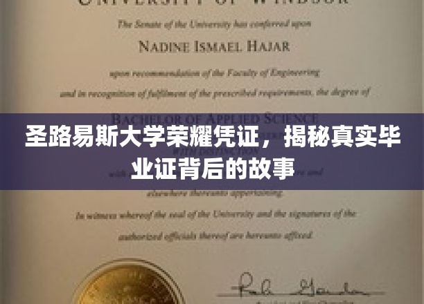 圣路易斯大学荣耀象征，探寻毕业证背后的真实故事