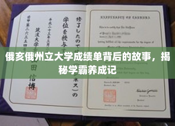 学霸养成记，俄亥俄州大成绩单背后的励志篇章