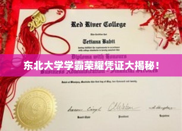 东北学霸秘籍大公开，揭秘东北大学学霸成长之路