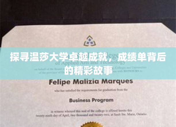 解码温莎荣耀，揭秘大学卓越背后的传奇篇章