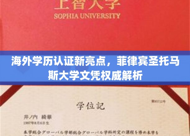 国际文凭大揭秘，探秘菲律宾圣托马斯大学学历认证过程