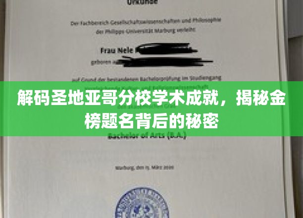 圣地亚哥分校学霸养成记，揭秘金榜题名背后的不传之秘