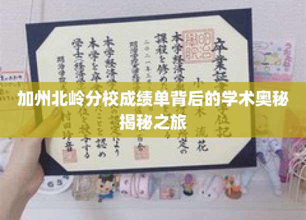 解码加州北岭分校，揭秘隐藏在成绩单中的学术秘密