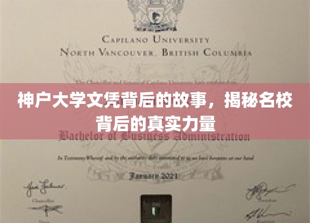神户大学文凭之谜，探寻名校背后的非凡魅力