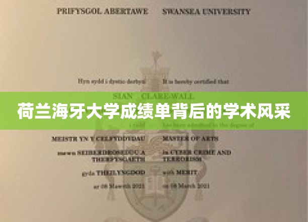 荷兰海牙大学，成绩单揭开学术魅力一角