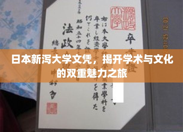 日本新泻大学文凭，揭开学术与文化的双重魅力之旅