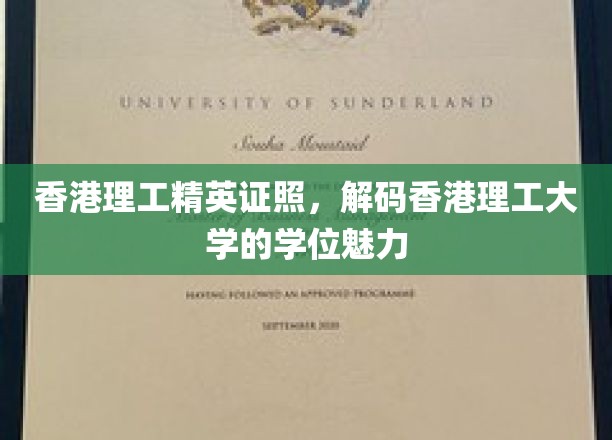 香港理工精英证照，解码香港理工大学的学位魅力