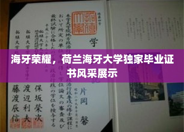 荷兰海牙大学荣耀绽放，独家毕业证书魅力抢先看