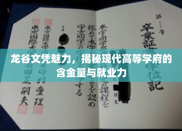 龙谷文凭新篇章，解码顶尖学府的含金量与职场实力