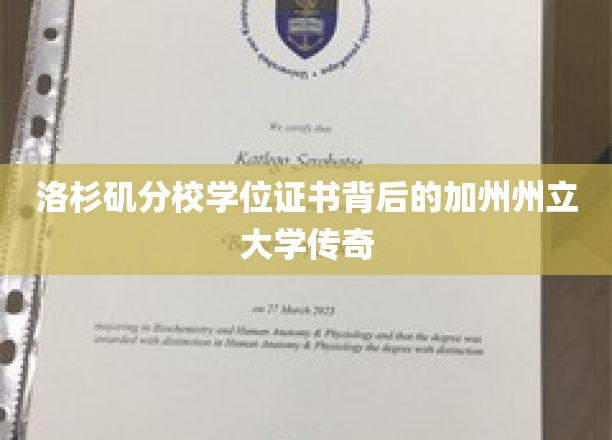 加州州立大学洛杉矶分校，学位证书背后的传奇故事