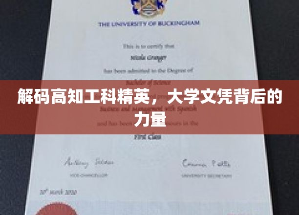 解码精英智慧，揭秘高知工科生的大学文凭背后的非凡力量