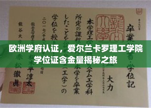 解码爱尔兰卡罗理工学院，欧洲学府认证下的学位含金量探秘之旅