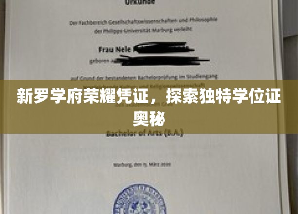新罗学府神秘学位证，揭开荣耀凭证的神秘面纱