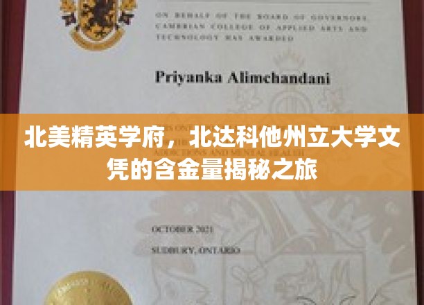 北美精英学府，北达科他州立大学文凭的含金量揭秘之旅