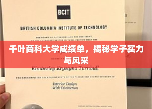 千叶商科大学风采录，学子实力一览无遗