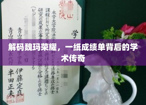 解码魏玛荣耀，一纸成绩单背后的学术传奇