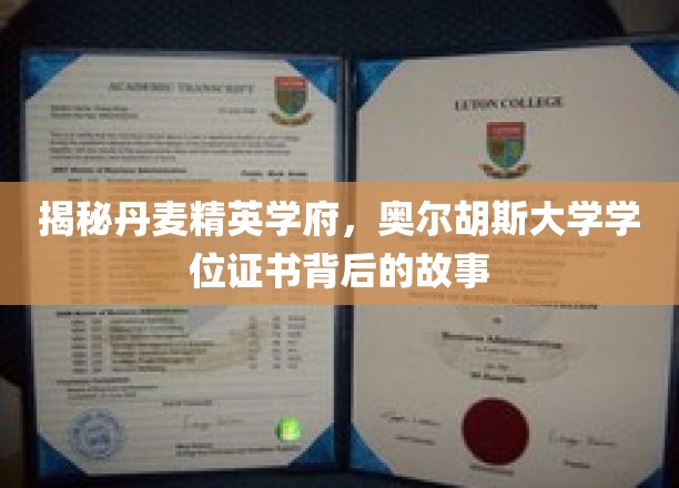 解锁奥尔胡斯大学，探索精英学位证书的非凡旅程