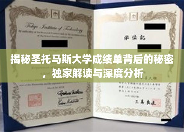 探索圣托马斯大学成绩单背后的奥秘，独家剖析与深度解读