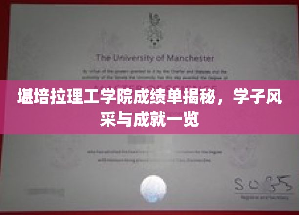 堪培拉理工学院成绩单揭秘，学子风采与成就一览