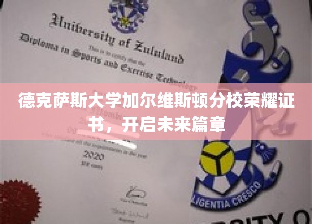 德克萨斯大学加尔维斯顿分校荣耀证书，开启未来篇章