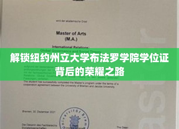解锁纽约州立大学布法罗学院学位证背后的荣耀之路