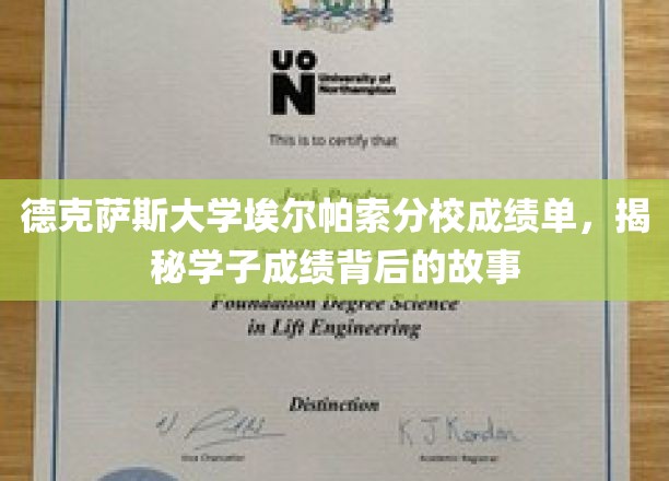 德克萨斯大学埃尔帕索分校成绩单，揭秘学子成绩背后的故事