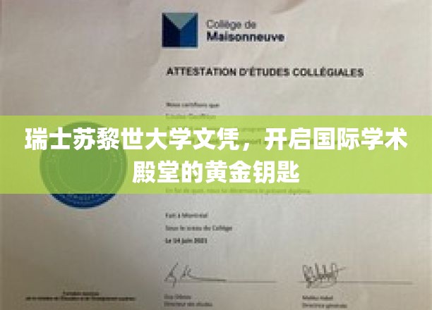 苏黎世大学文凭，解锁全球学术精英之门