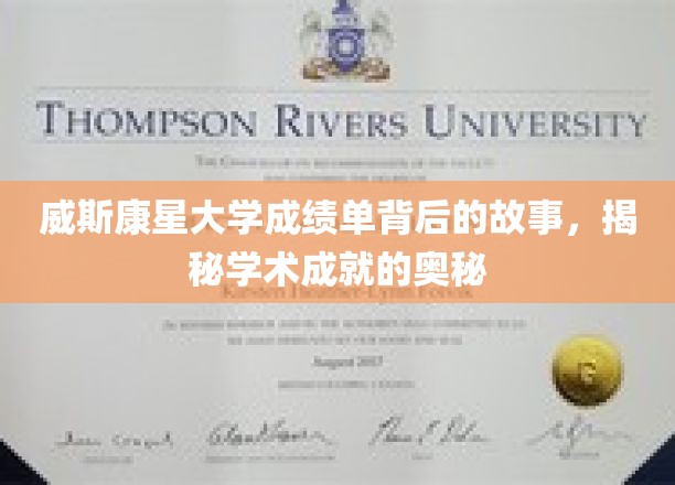 威斯康星大学成绩单背后的故事，揭秘学术成就的奥秘