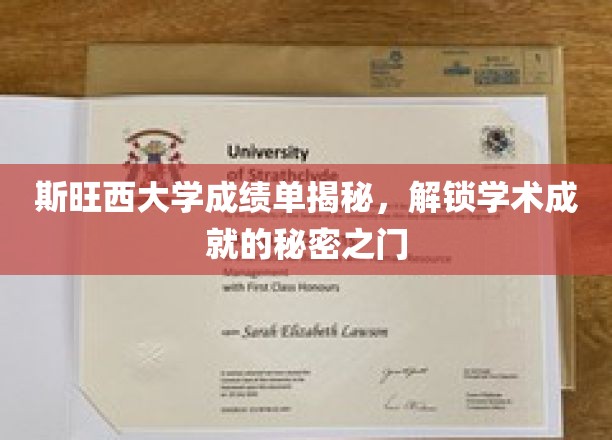 探索斯旺西大学成绩单背后的学术奥秘