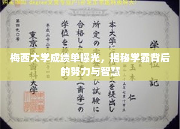 梅西大学成绩单曝光，揭秘学霸背后的努力与智慧